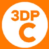 3DP Chip
