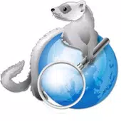 WebFerret