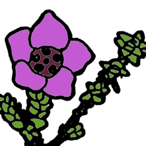 Nunavut Wildflowers
