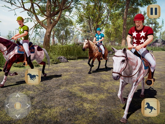 Horse Rider Adventure 3D Stunt poster