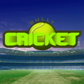 Mini Street Cricket