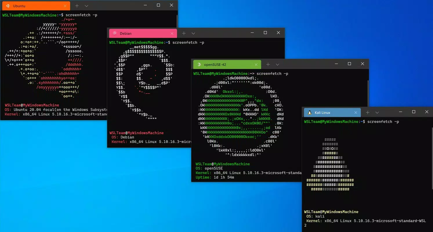 Windows Subsystem for Linux (WSL)