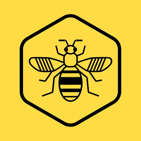 Bee Network