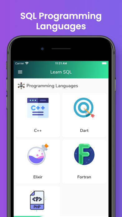Learn SQL Database Programming poster