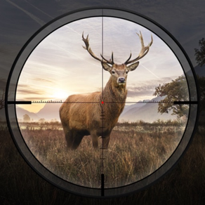 Hunting Sniper:Marksman