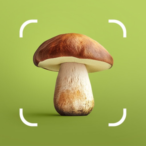 Mushroom ID: Pilze Bestimmen