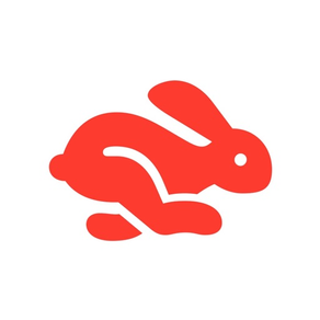 Rabbit - PiP Video Browser