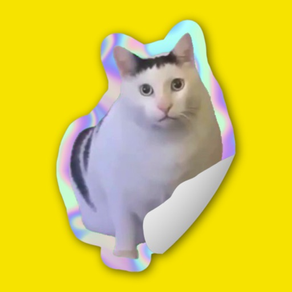 Cat Meme Stickers: Caticker