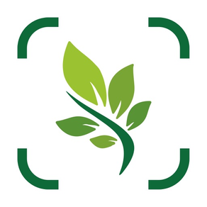 plantnet plant identification