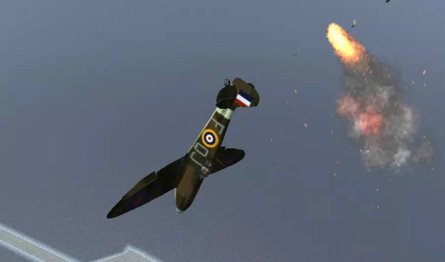WarBirds - World War II Combat Aviation