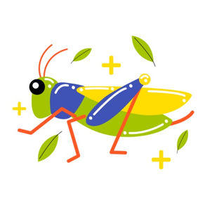 tiny insect