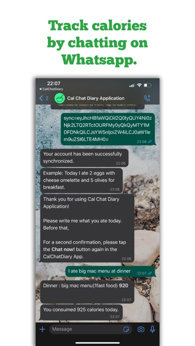 CalChatDiary poster