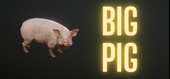 Big Pig