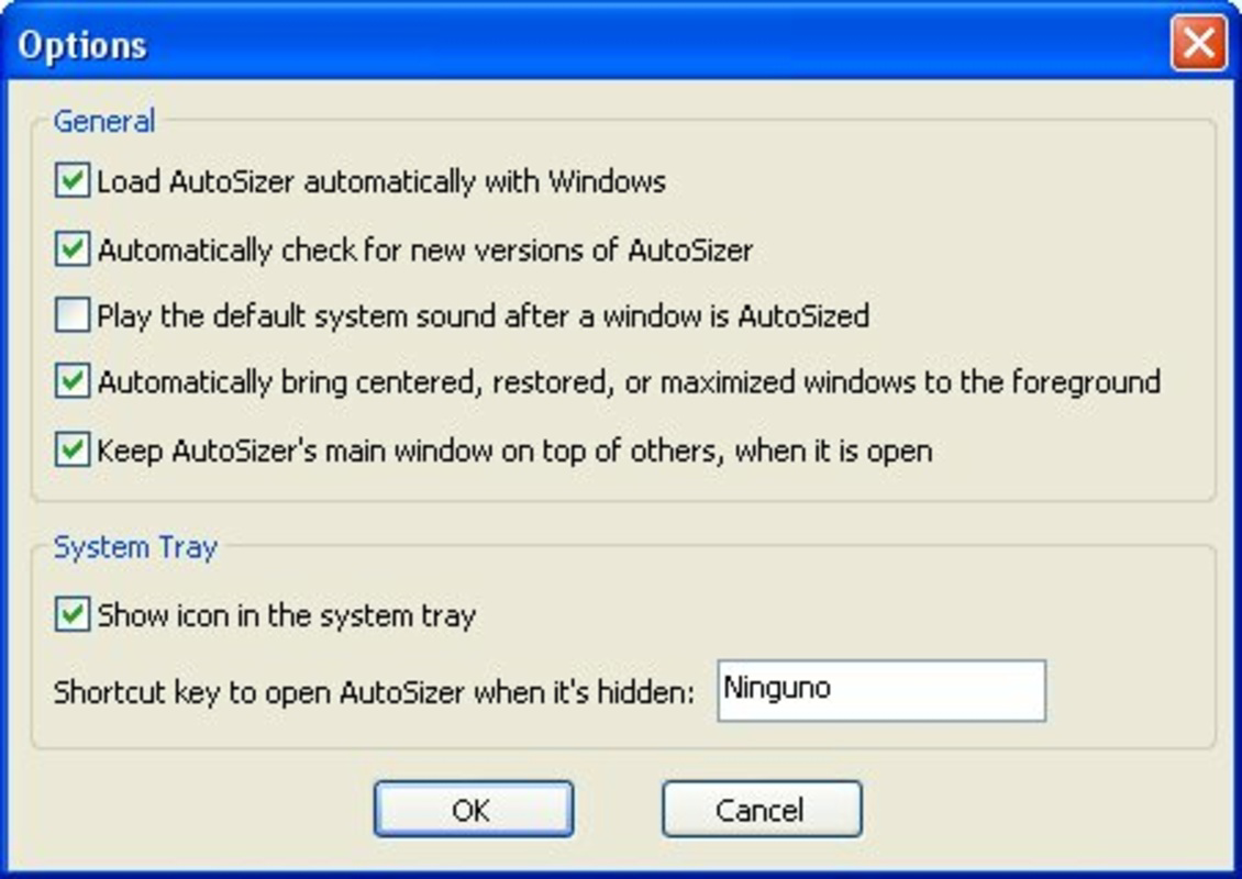AutoSizer for PC Windows 1.71 Download