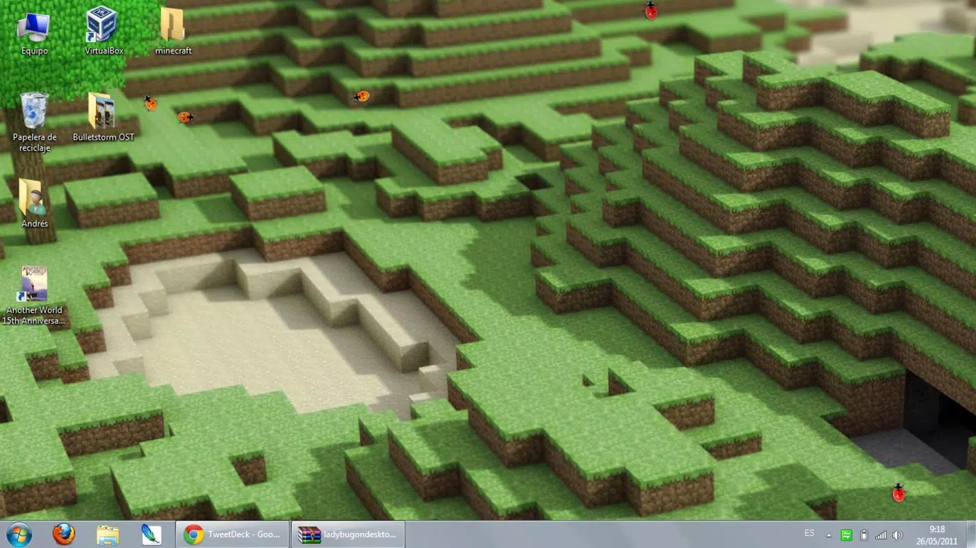 Ladybug on Desktop