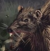The Rats in the Wall Logo
