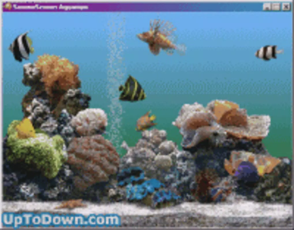 SereneScreen Aquarium