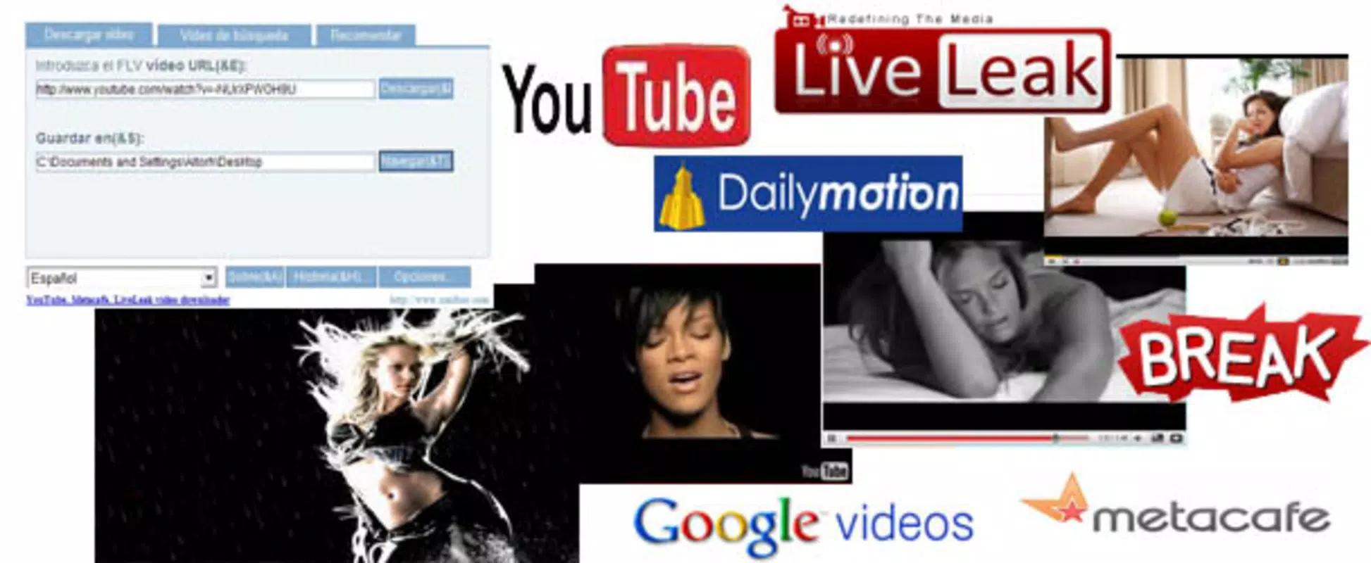 FLV Downloader