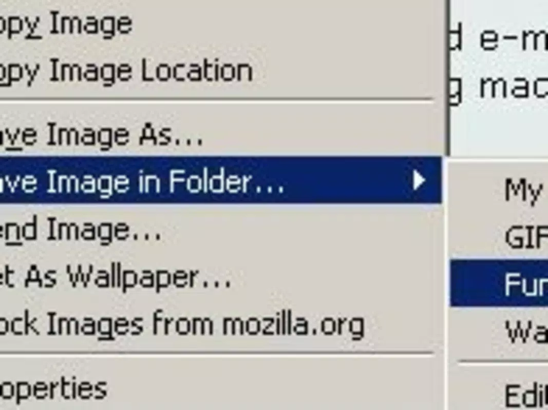 Save Image In Folder