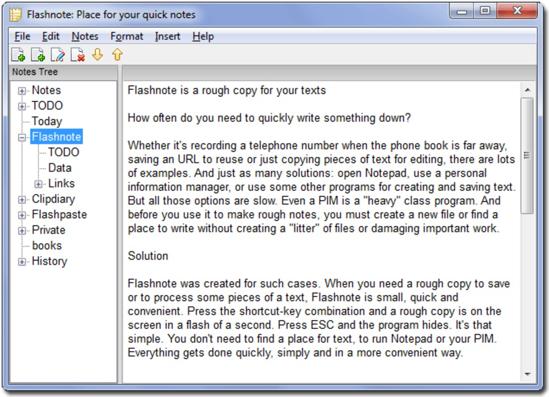 Flashnote Portable