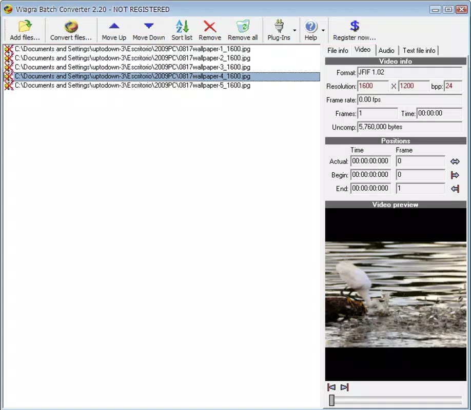 Wiagra Batch Converter