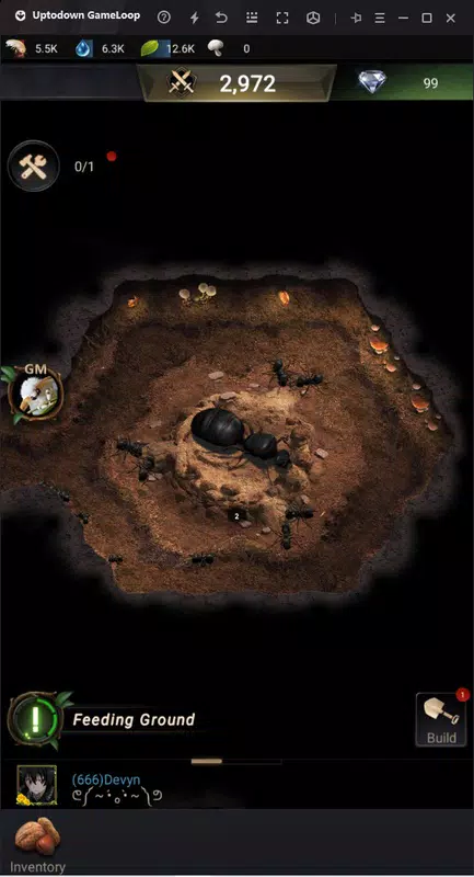 The Ants
