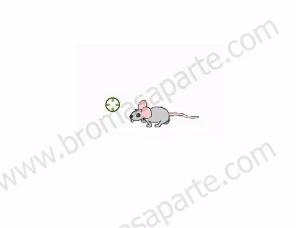 Kill the mouse