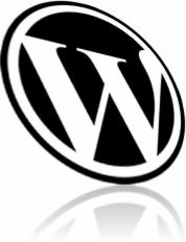WordPress Stats Plugin