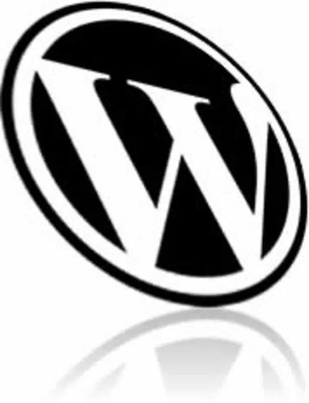 WordPress Stats Plugin