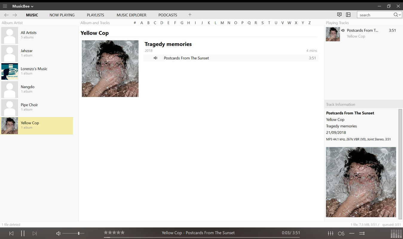 MusicBee Portable for PC Windows 3.6.9403 Download