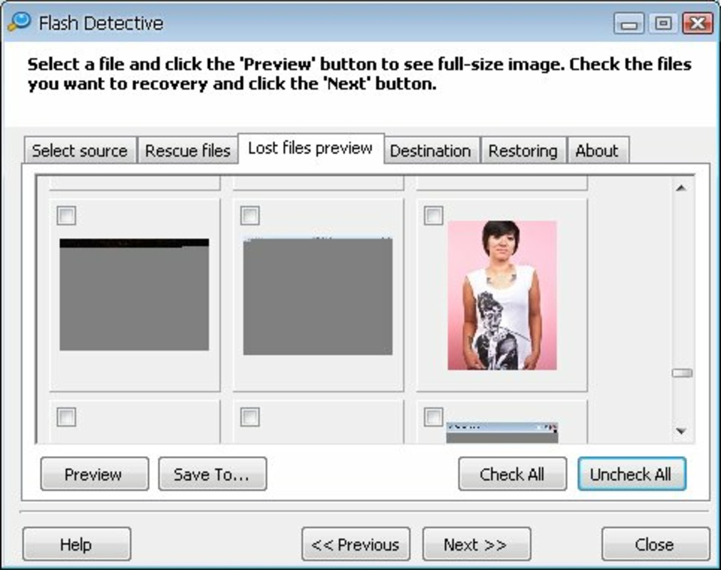 Detective Software Flash Detective for PC Windows 2.5 Download