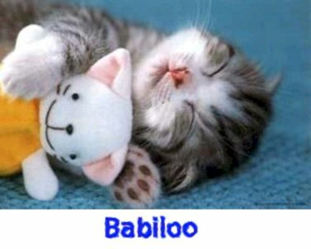 Babiloo