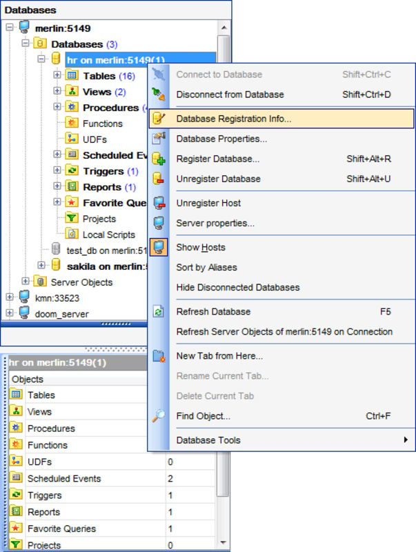 EMS MySQL Manager