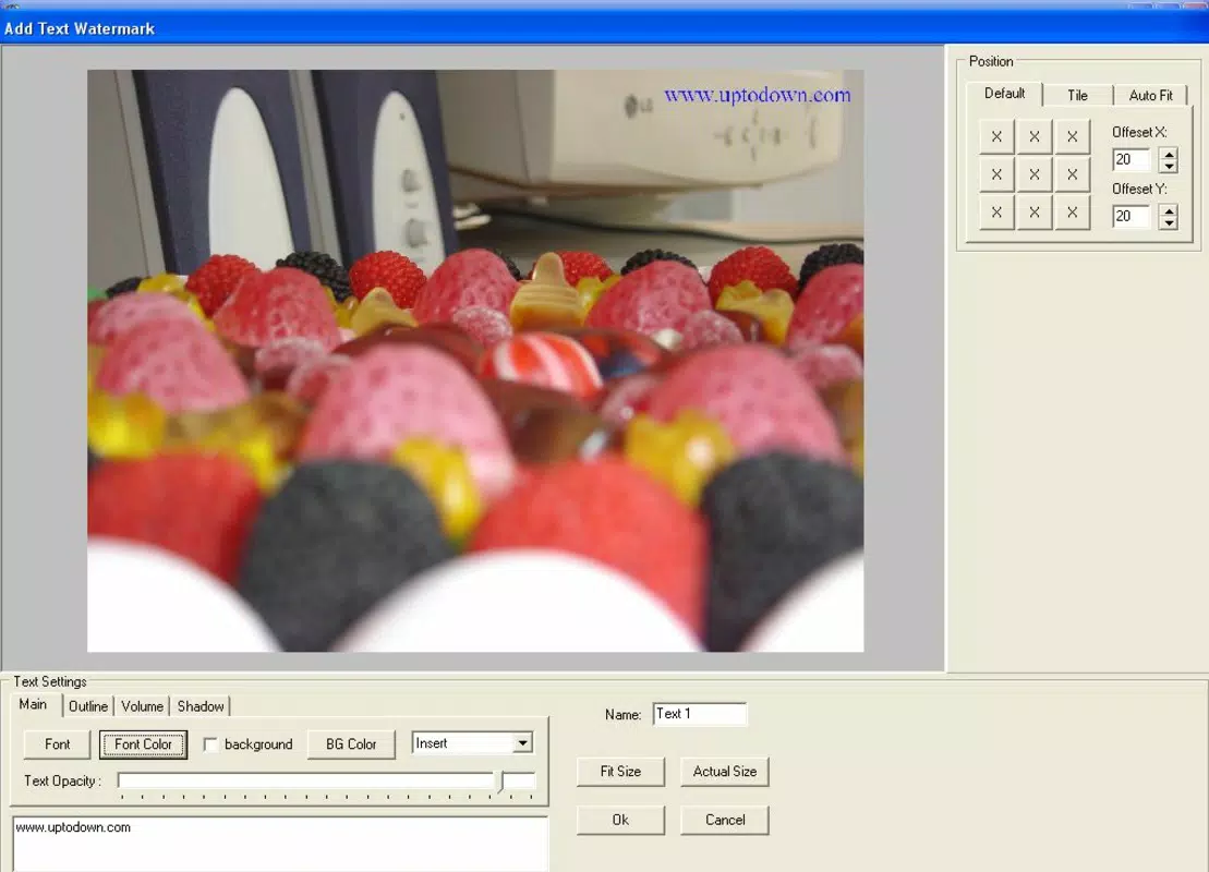 Image Watermarks