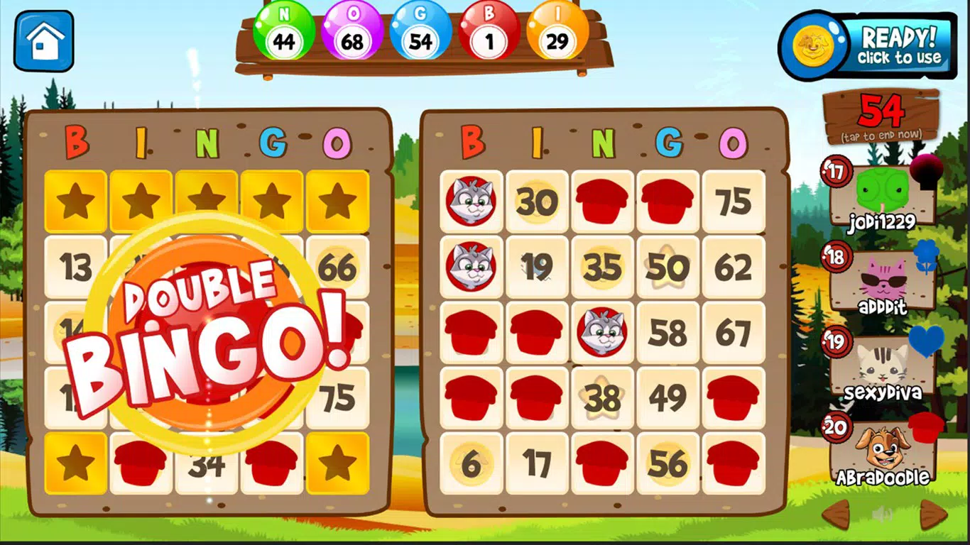 Abradoodle Bingo