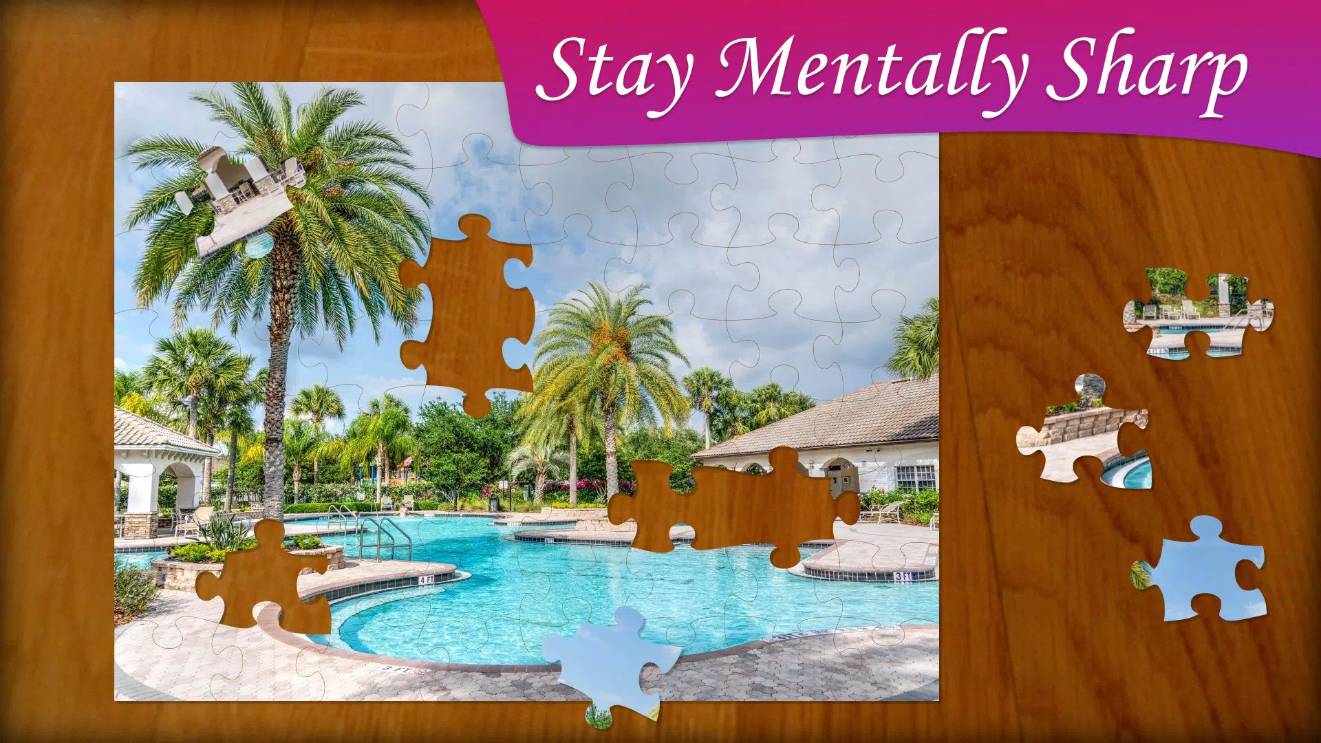 Jigsaw Puzzle Frenzy