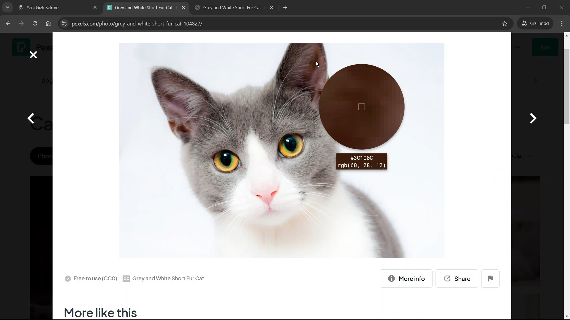 Desktop Color Picker Pro