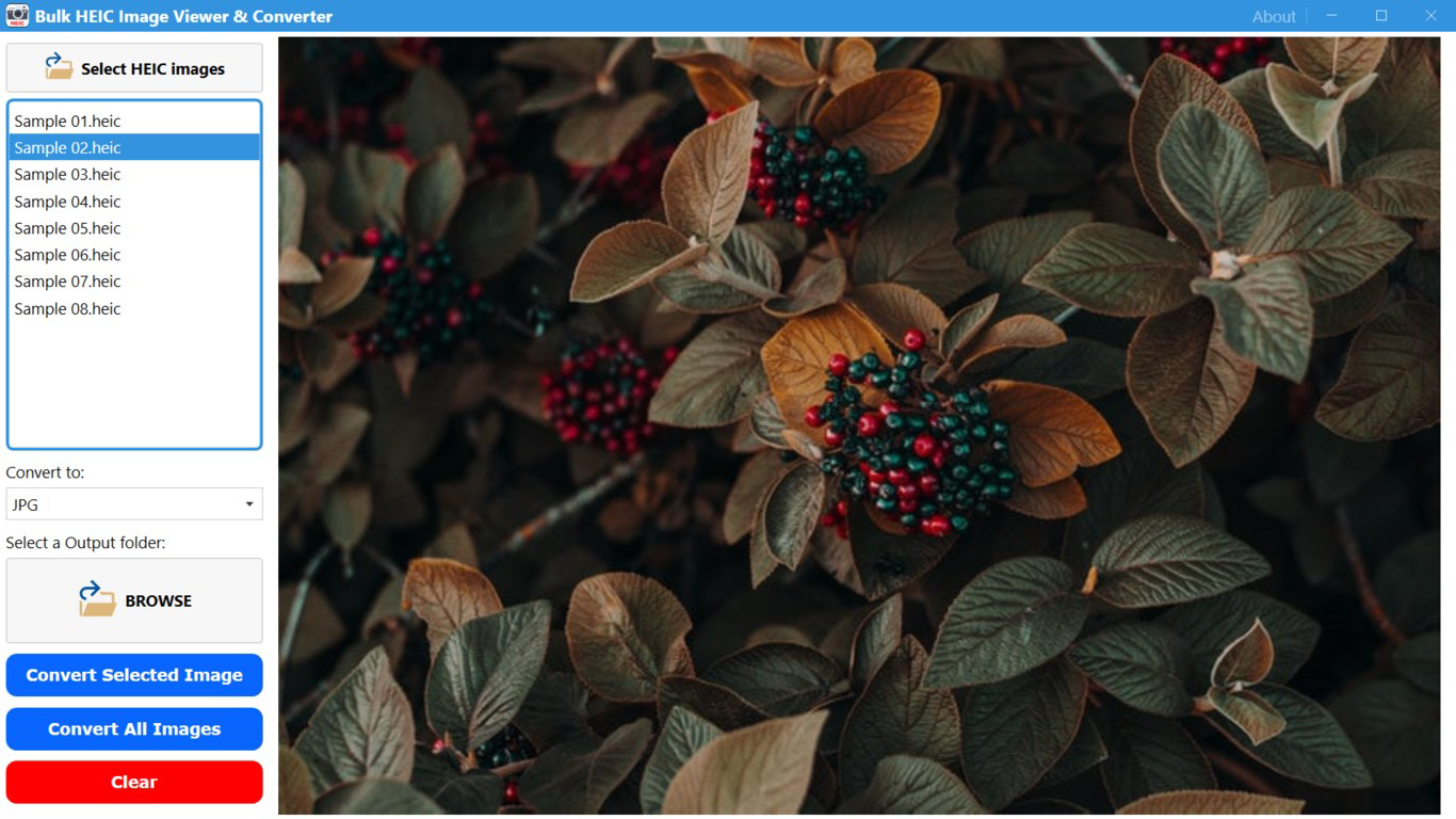 Bulk HEIC Image Viewer & Converter