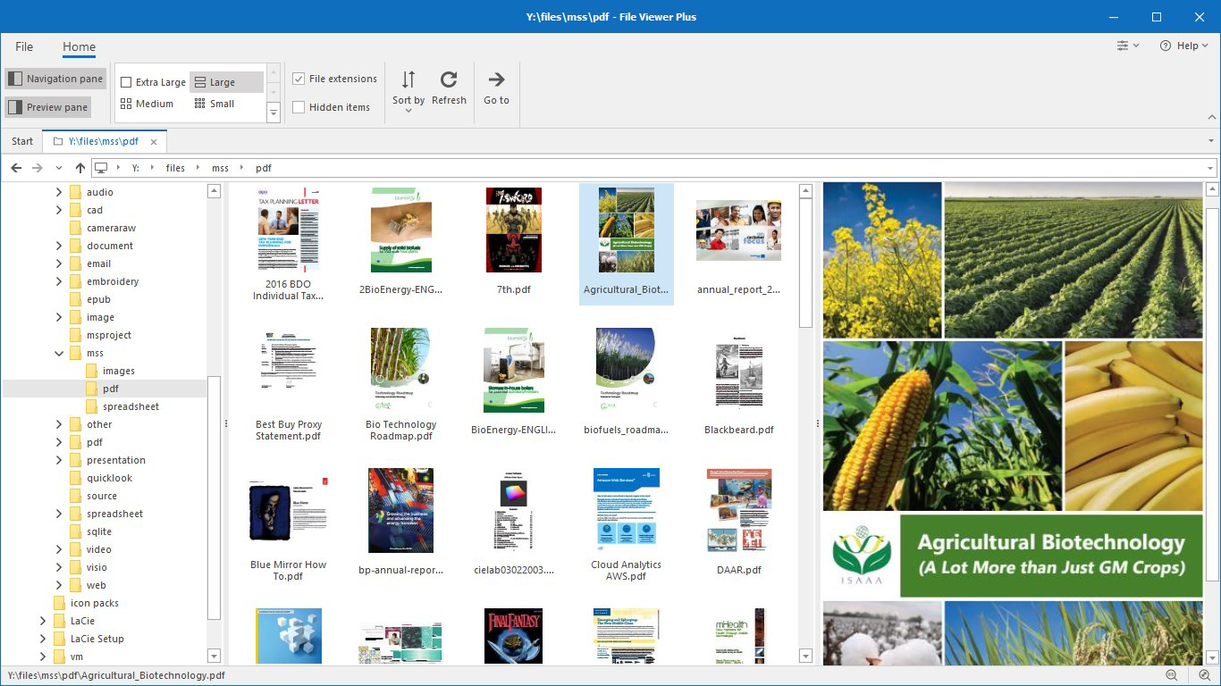 File Viewer Plus 4
