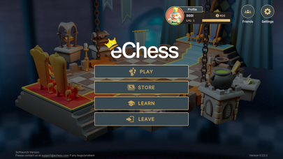 eChess poster