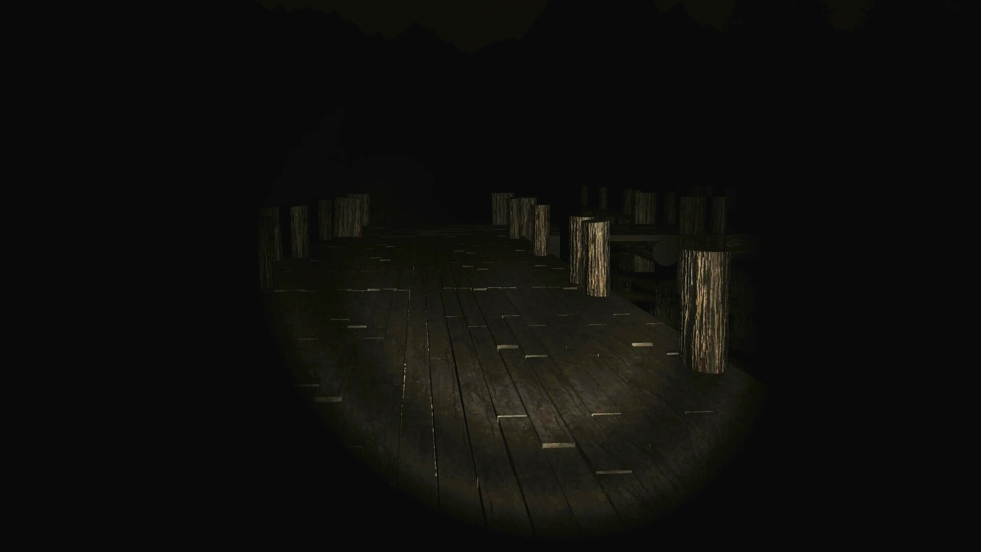 Midnight Echo