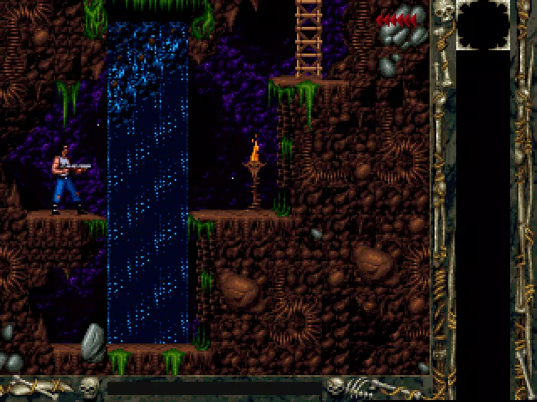 Blackthorne