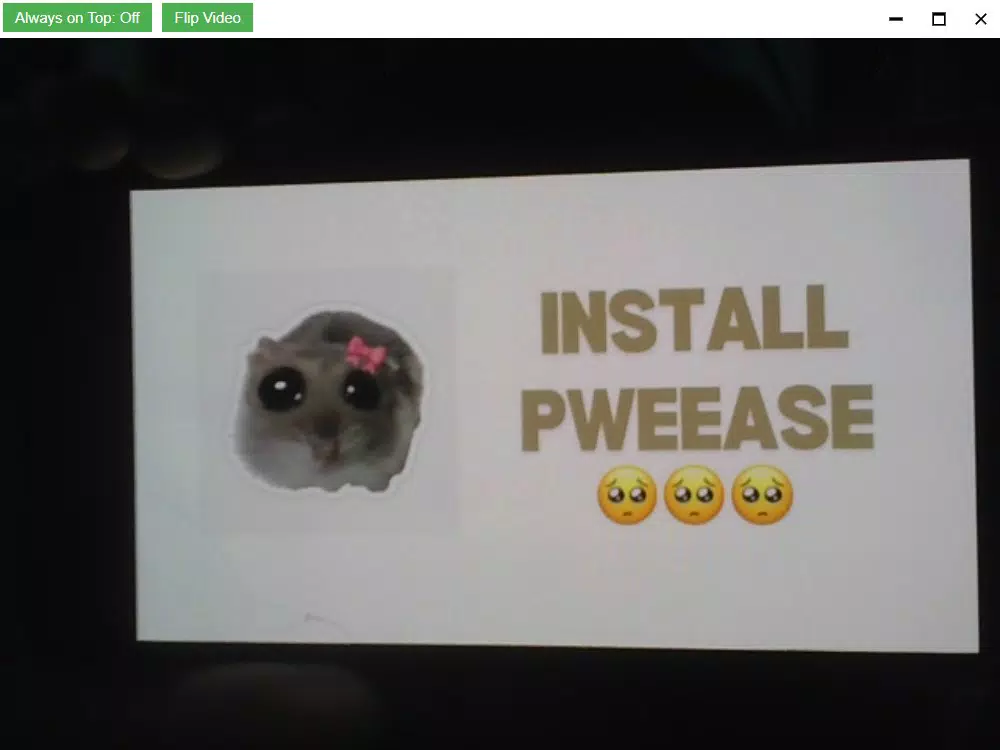 pinwebcam