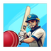 Cricket Bash icon