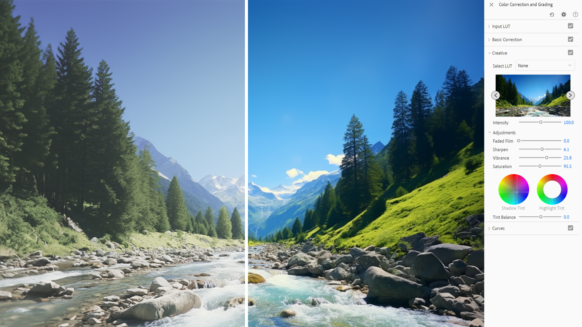 Adobe Premiere Elements 2025 for PC Windows Download