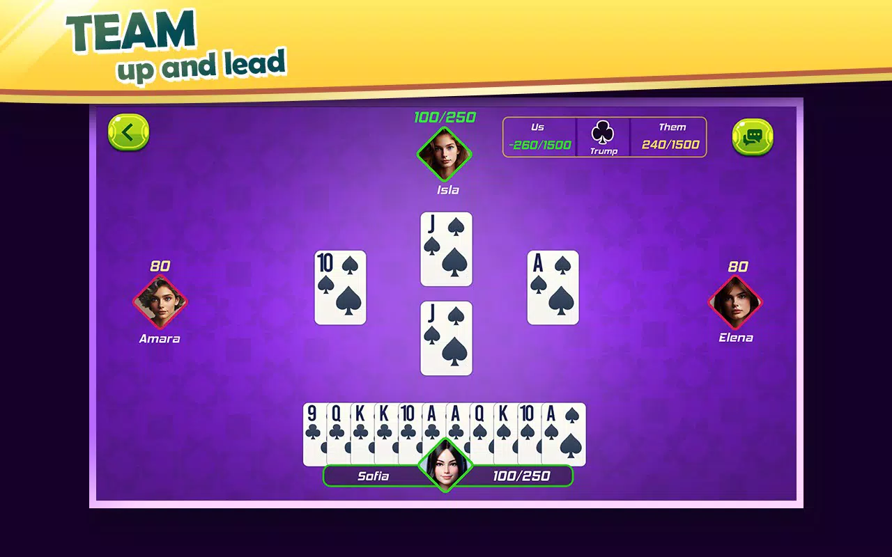 Pinochle Card Game