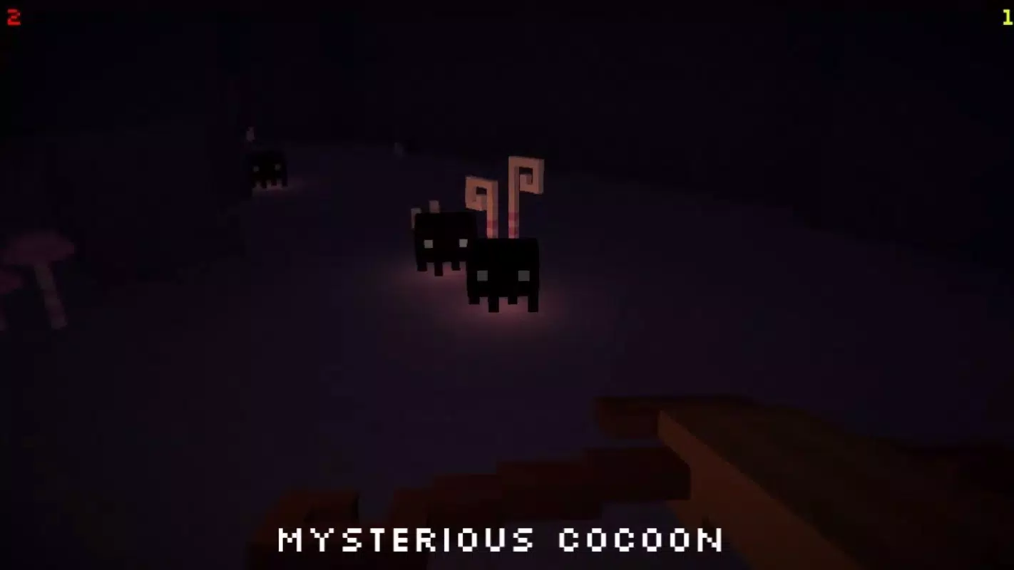 Discoverie