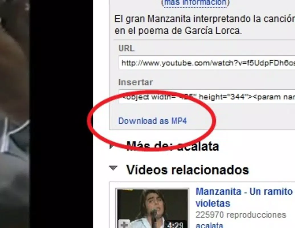Download Youtube As MP4
