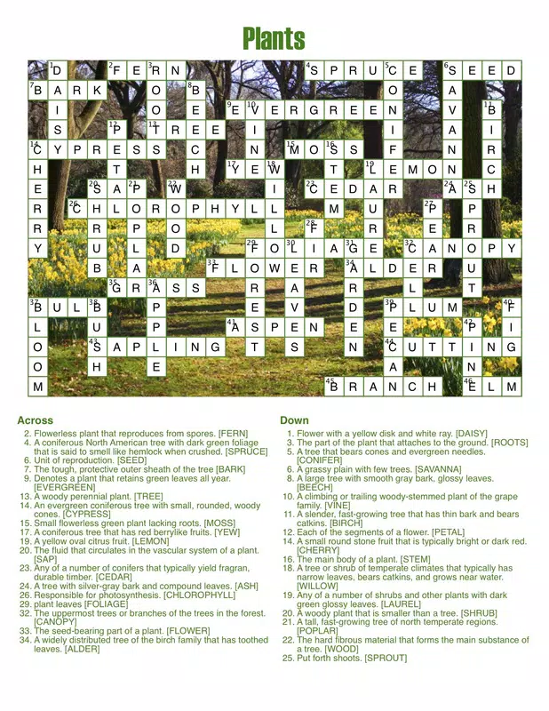 CrossWord Forge