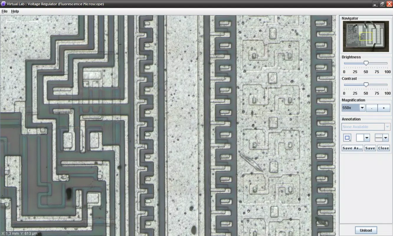Virtual Microscope